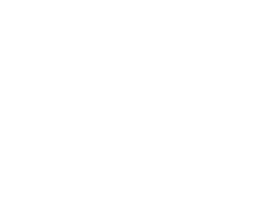 Liliane Pearl Studios